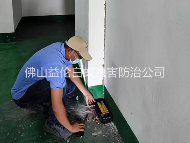 官窑电房灭杀白蚁工程