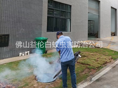 九江厂区杀蟑螂蚊蝇工程